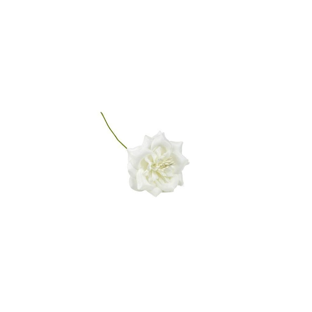 FIORE STELLA 6CM PANNA